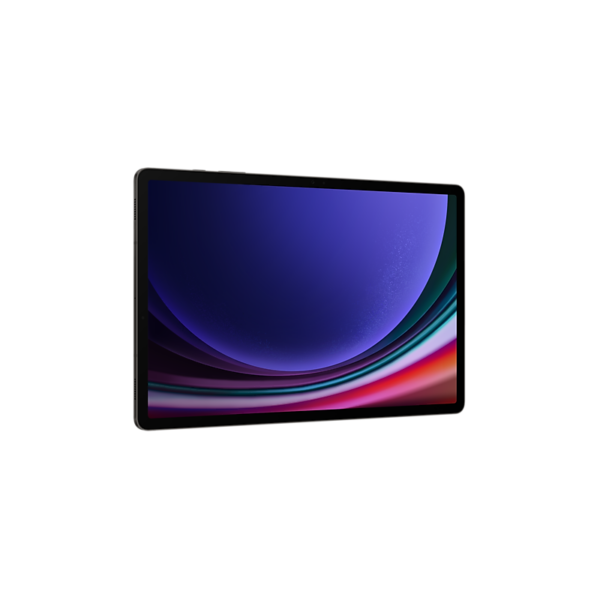 Tablette Samsung Galaxy Tab S9+ 5G  Graphite (12GB / 512Go) – Image 2