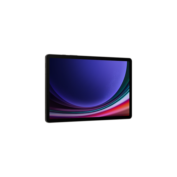 Tablette Samsung Galaxy Tab S9 5G (8GB / 128Go) – Image 2