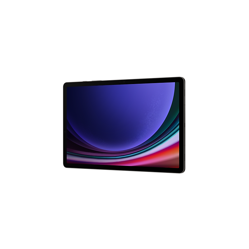 Tablette Samsung Galaxy Tab S9 5G Graphite (12GB / 256Go) – Image 4